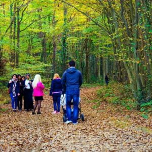 صور.. أشجار العالم تلتقي في حديقة “أتاتورك بلغراد” بإسطنبول 9