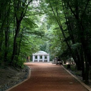 صور.. أشجار العالم تلتقي في حديقة “أتاتورك بلغراد” بإسطنبول 11