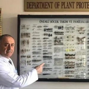 متحف تركي يضيء جوانب خافية من عالم الحشرات