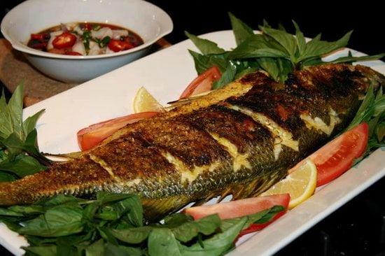 هل تريد أطفالاً أذكياء؟ 2 هل تريد أطفالاً أذكياء؟ 1