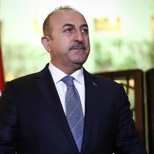 الإعلام النمساوي: لقاء جاويش أوغلو وكنايسل “صفحة الجديدة”