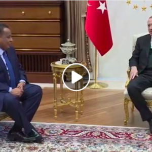 شاهد.. اردوغان يرحب بوزير خارجية السودان باللغة العربية