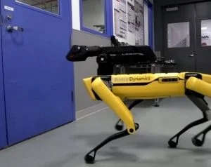 شاهد كيف تحوَّل روبوت أصفر بـ4 أرجل إلى نجم يوتيوب؟