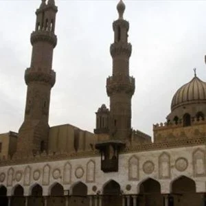 مؤرخان: سليم الأول أنقد مصر من ظلم المماليك استجابة لعلمائها