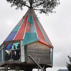 “كوخ فوق الشجرة”.. حلم الطفولة يتحول لمكان سياحي في تركيا