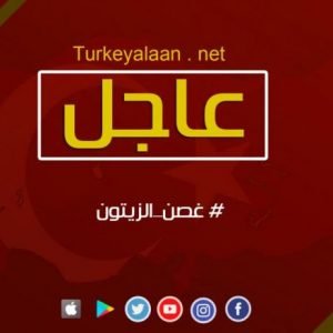 متحدث الحكومة التركية: تم إنهاء وجود الإرهاب والإرهابيين في عفرين إلا أن مهمتنا لم تنته بعد