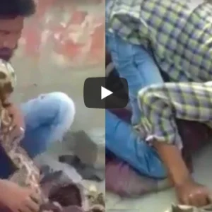 شاهد… ثعبان ضخم يخنق مدربه أمام الجمهور