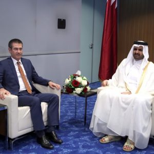 وزير الدفاع التركي يبحث مع نائب أمير قطر التعاون العسكري بين البلدين