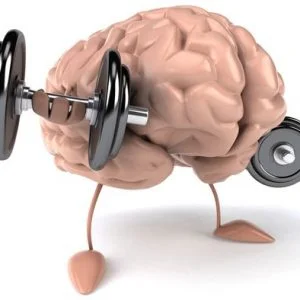 العثور على طريقة جديدة لتقوية الذاكرة