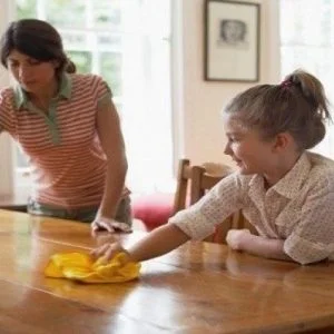 مواد طبيعية تجعل منازلكم أكثر نظافة