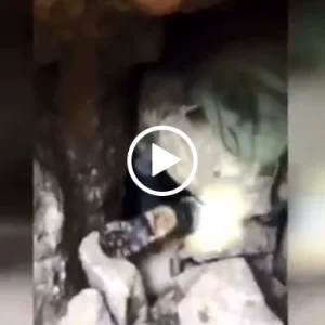 شاهد | الجيش التركي يعثر علي نفق كبير في عفرين