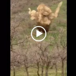 شاهد| قوات غصن الزيتون تدمير متفجرات يدوية تم العثور عليها في عفرين