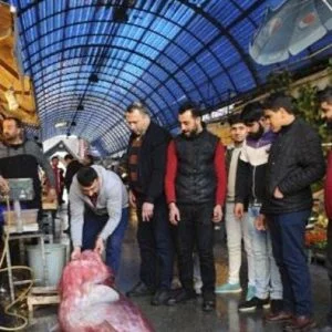 أسماك بوجه إنسان تثير دهشة الأتراك (فيديو)