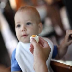 دراسة: تناول الطفل بيضة في اليوم يحميه من قصر القامة