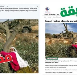 نائب سابق عن “الشعوب الديمقراطي” ينشر صورة مفبركة عن عملية “غصن الزيتون”