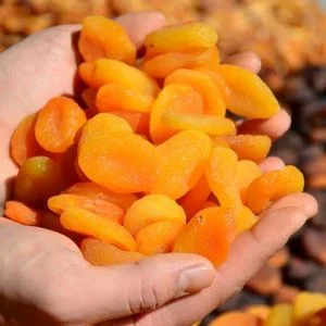 مدينة تركية تحقق مبيعات بـ266 مليون دولار من صادرات المشمش المجفف