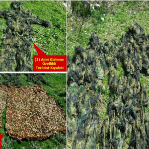 من أين لـ"بي كا كا" الإرهابية هذا العقل؟.. صور + فيديو 1