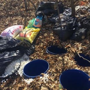 من أين لـ"بي كا كا" الإرهابية هذا العقل؟.. صور + فيديو 11