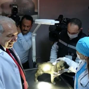 اسطنبول تفتتح ثاني اكبر مركز لرعاية الحيوان في العالم