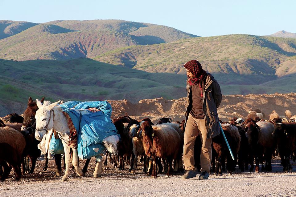 (صور) رُحّل تركيا.. لقمة العيش صعبة المنال 15