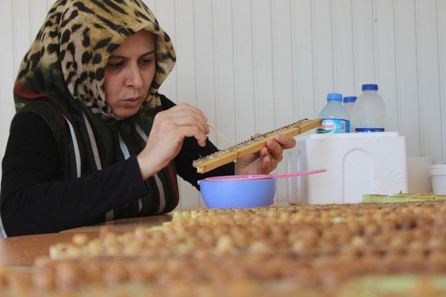 حليب النحل.. يباع الكيلو غرام منه بـ 4 الاف ليرة تركية "صور وفيديو" 17
