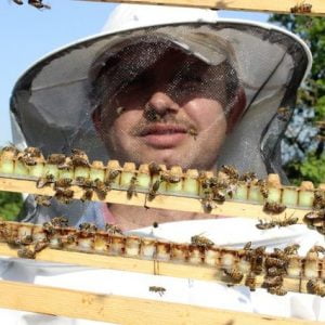 حليب النحل.. يباع الكيلو غرام منه بـ 4 الاف ليرة تركية “صور وفيديو”