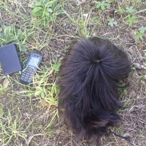 لصوص قدموا لتركيا من مسافة 11 الف كيلو متر.. : "لقد اخترنا تركيا لأنها ... " 1