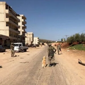 قوات”غصن الزيتون” تواصل إزالة في عفرين