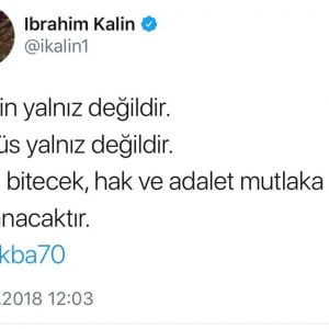 الرئاسة التركية: فلسطين ليست وحيدة 1