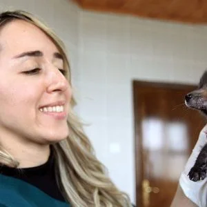 طبيبة بيطرية تركية تعتني بجرو ثعلب مفقود