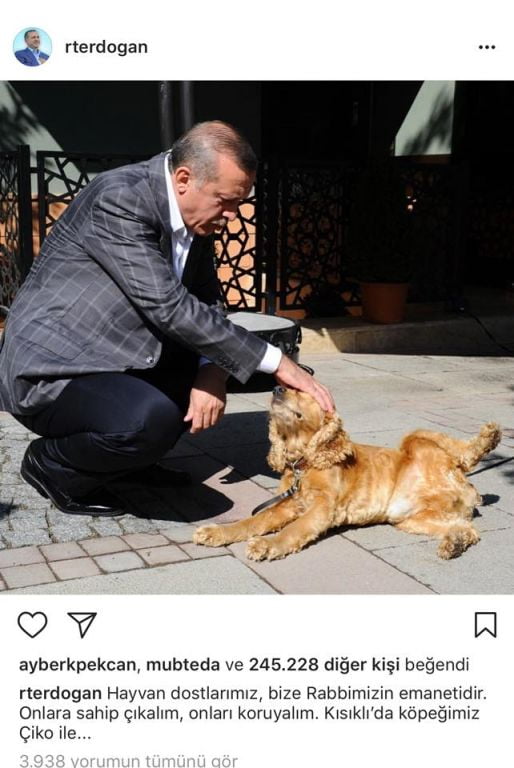 اردوغان يعلق على حادثة اثارت جدلا كبيرا في تركيا 1