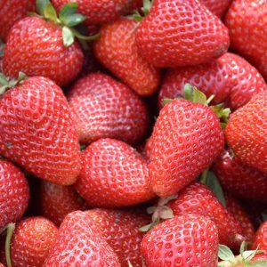 الفاكهة والخضراوات التركية تصدر إلى 143 دولة حول العالم