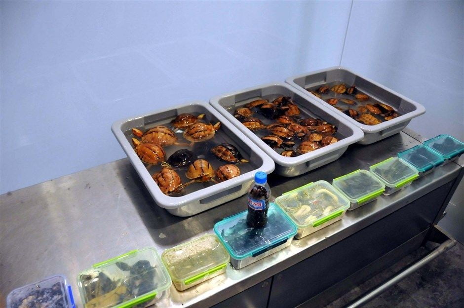 في حادثة غريبة.. هذا ما عثر عليه الأمن التركي بمطار أتاتورك؟! 3