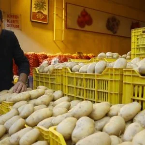 الانتخابات التركية والبطاطا