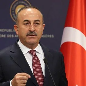 تركيا تحترم قرار برلين.. ولكن!