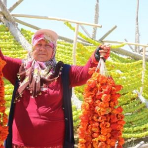 مدينة غازي عنتاب عاصمة الخضروات المجففة في تركيا