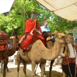 زفة العروس على ظهور الجمال في تركيا.. تقليد عمره 6 قرون