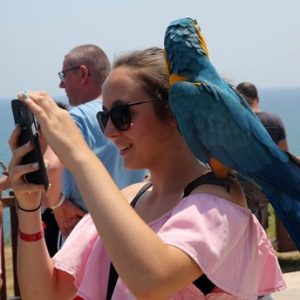 أعداد السياح الألمان إلى تركيا على موعد مع تحطيم رقم قياسي في 2018