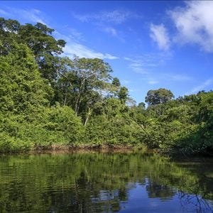 العثور على رجل اختفى 22 عاما في غابات الأمازون