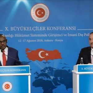 الاجتماع الأول لمجلس التعاون الاستراتيجي التركي السوداني في ديسمبر المقبل