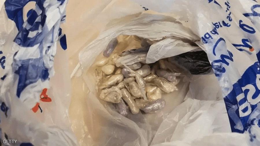 بالصور.. قطة غادرت بيت أصحابها وعادت بأغرب كيس ممكن 4 بالصور.. قطة غادرت بيت أصحابها وعادت بأغرب كيس ممكن 3