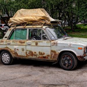 في تركيا.. حيوانات من بقايا السيارات