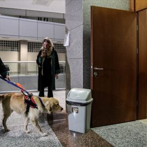 بالصور.. كلب يرشد محام كفيف بأروقة المحاكم التركية!!