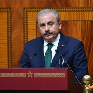 رئيس البرلمان التركي يدعو الدول الإسلامية إلى تحقيق الحرية لفلسطين والقدس