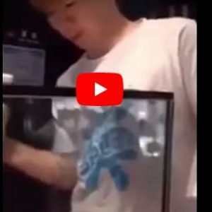 شاب يفوز بسبيكة ذهبية وزنها 20 كيلوغراما بطريقة عجيبه (فيديو)