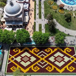 إسطنبول تبسط أكبر سجادة توليب في العالم (صور)