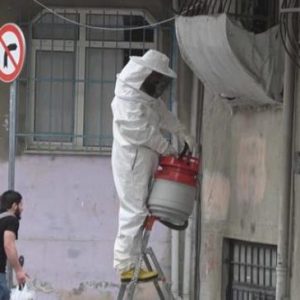 النحل يهاجم حي في اسطنبول.. والسوريون يتدخلون 1