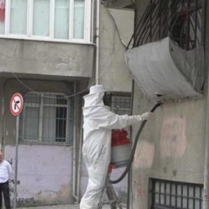 النحل يهاجم حي في اسطنبول.. والسوريون يتدخلون 7