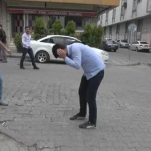 النحل يهاجم حي في اسطنبول.. والسوريون يتدخلون
