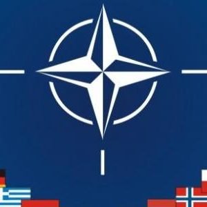 الناتو في أزمة